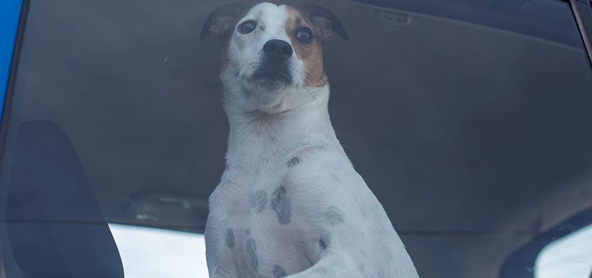 Car Lockout Solutions in Alta Sierra, California